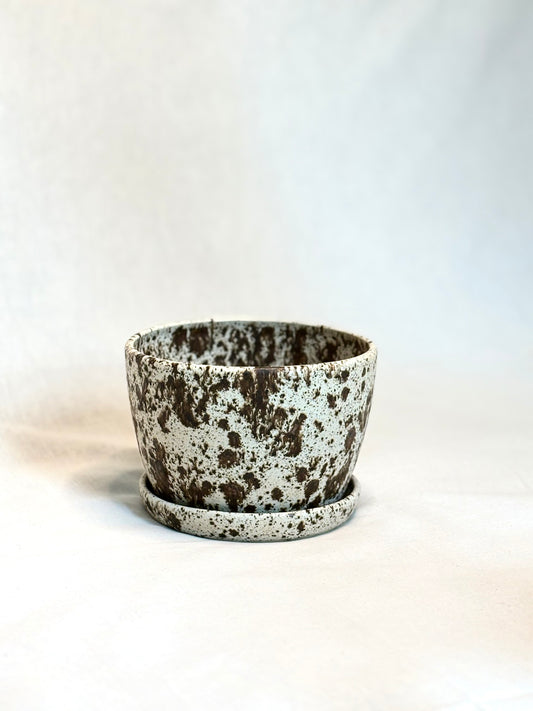 Speckled Planter with Drip Tray